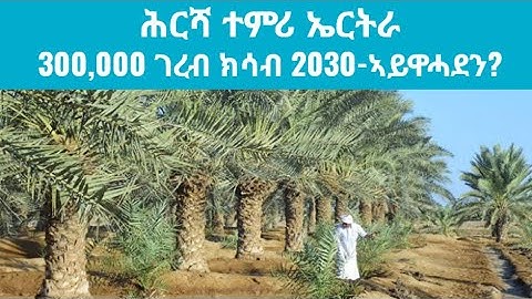ሕርሻ ተምሪ ኤርትራ - 300,000 ገረብ ክሳብ 2030 ኣይዋሓደን? @kerkebet123 