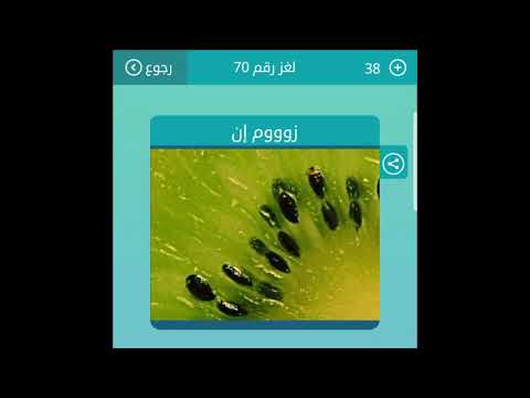 زوووم إن من 4 حروف لعبة كلمات متقاطعة
