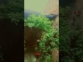 #weather#2026#explore#update #vlog#love#trending #study #law#toptrending#uptrends #latest#students