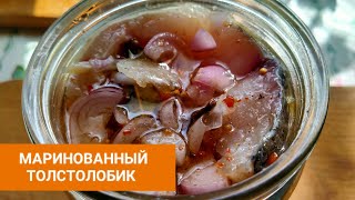 видео: Маринованный Толстолобик. Самый вкусный рецепт #кулинария #готовимдома #рецепт #рыба #толстолобик картинка: Маринованный Толстолобик. Самый вкусный рецепт #кулинария #готовимдома #рецепт #рыба #толстолобик