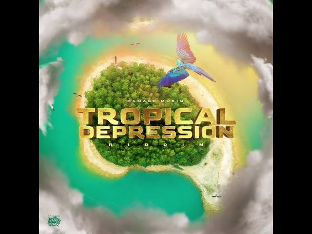 #tropicalDepression #damagemusic class=