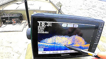Using Sonar to Find Deepwater Catfish Bait