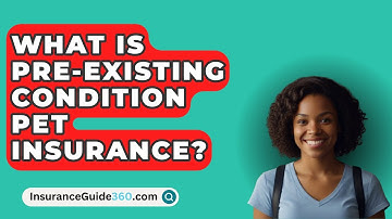 What Is Pre-Existing Condition Pet Insurance? -  InsuranceGuide360.com