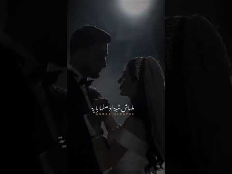 طول عمري بحلم يبقالي حد ابقي قلبه ويبقالي