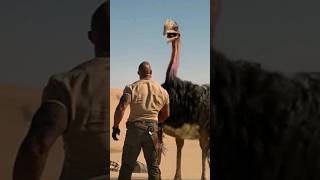 The Bird Kills The Rock Jumanji The Next Level