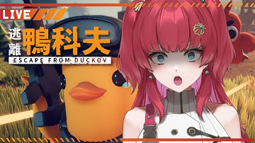 【遊戲】先鴨科夫然後鬼轉燕雲十六聲捏臉囉【火野貝 hinokai】