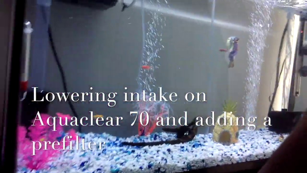 Aquaclear 70 extending intake and adding prefilter for cleaner tank