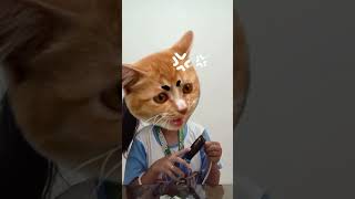 How to Make Crossover Cable || step-by-step|| Project in CSS-12 (for school purpose only)...