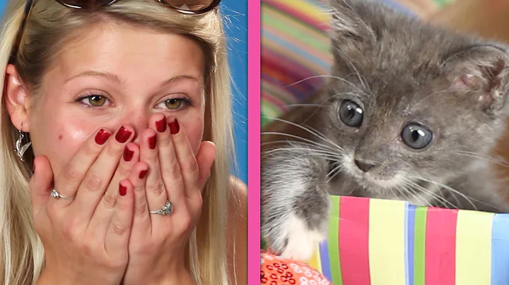 Cat Lovers Get Surprised By A Box Of Kittens - DayDayNews