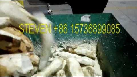 New cassava grating machine cassava crushing machine video