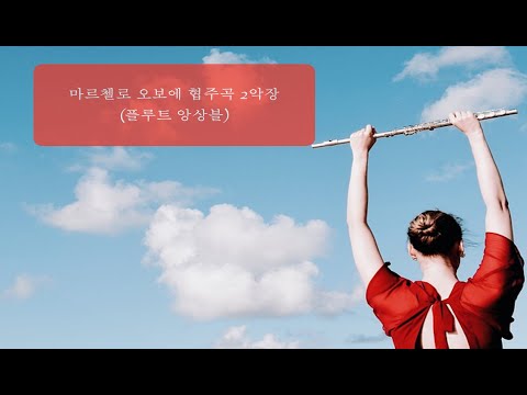 Marcello Oboe Concerto in D minor 2nd movement for flute (Flute ensemble/Piano) - 베네데토 마르첼로