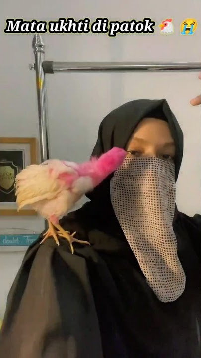 Astaghfirullah mata ukhti dipatok ayam 😭🐔. ukhti bercadar pecinta ayam