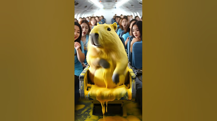 卡皮巴拉在飞机上揉出好多泡沫  Capybara rubbed a lot of foam on the plane#capybara #funny #animals #カピバラさん