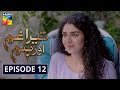 Tera Ghum Aur Hum Episode 12 HUM TV Drama 6 August 2020