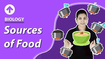 Sources of Food | Food | Class 6 Science Biology