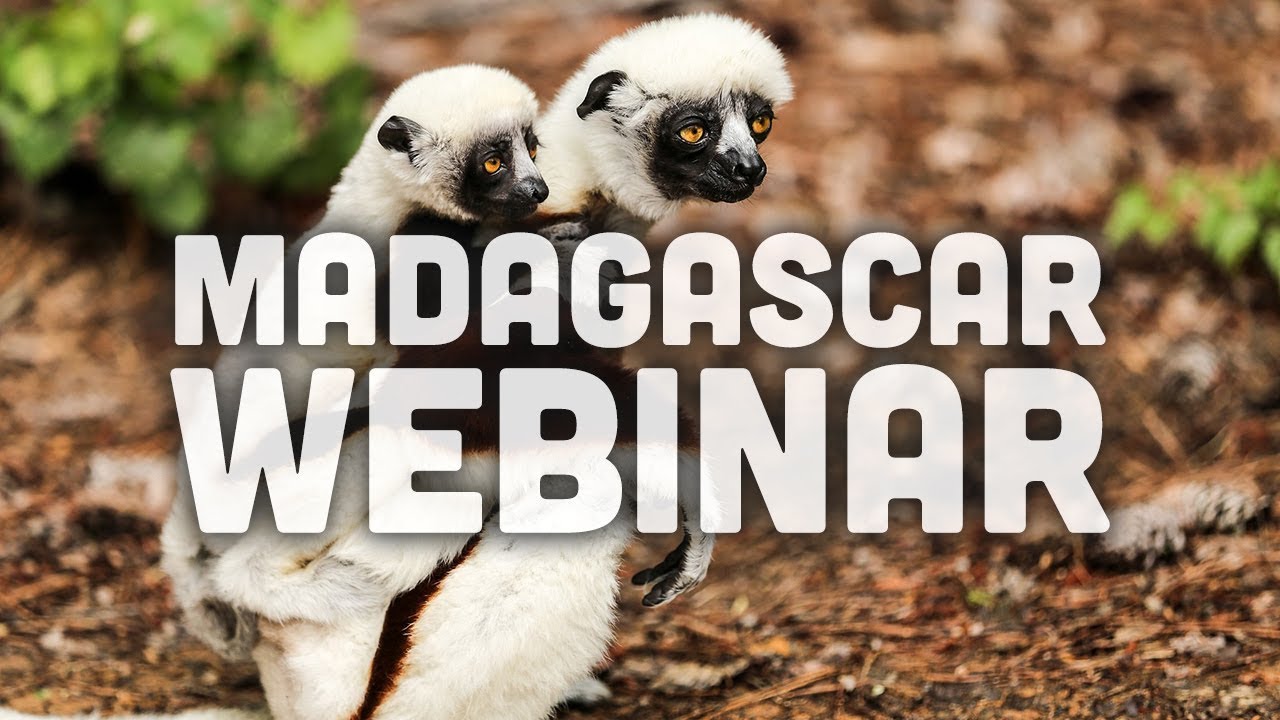 ⁣Madagascar Travel Webinar | Travel Tips for Madagascar