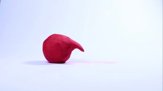 Claymation 24Fps Stop Motion Practice