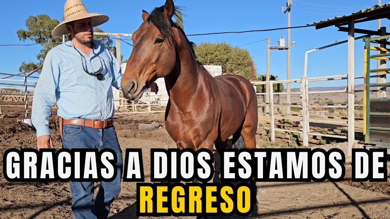GRACIAS a DIOS ESTAMOS de REGRESO | MUY CONTENTOS de ESTAR en el RANCHO | RancheandoAndo