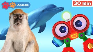 Learn Animals w Robi | Educational Early Learning Videos | Animals Names & Sounds | Hedgehog & More