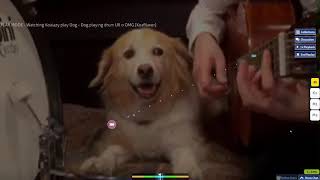[MapShowcase] Koalazy | Dog - Dog playing drum UR 0 OMG [Koa%wer]