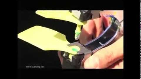 BVD Tissue Sampling Tags  Caisley FlexoPlus Geno