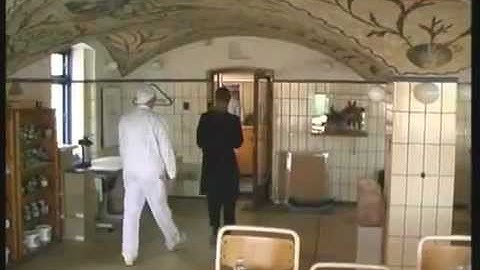 Vikan Hygiene System - HACCP Színkódolás.mp4