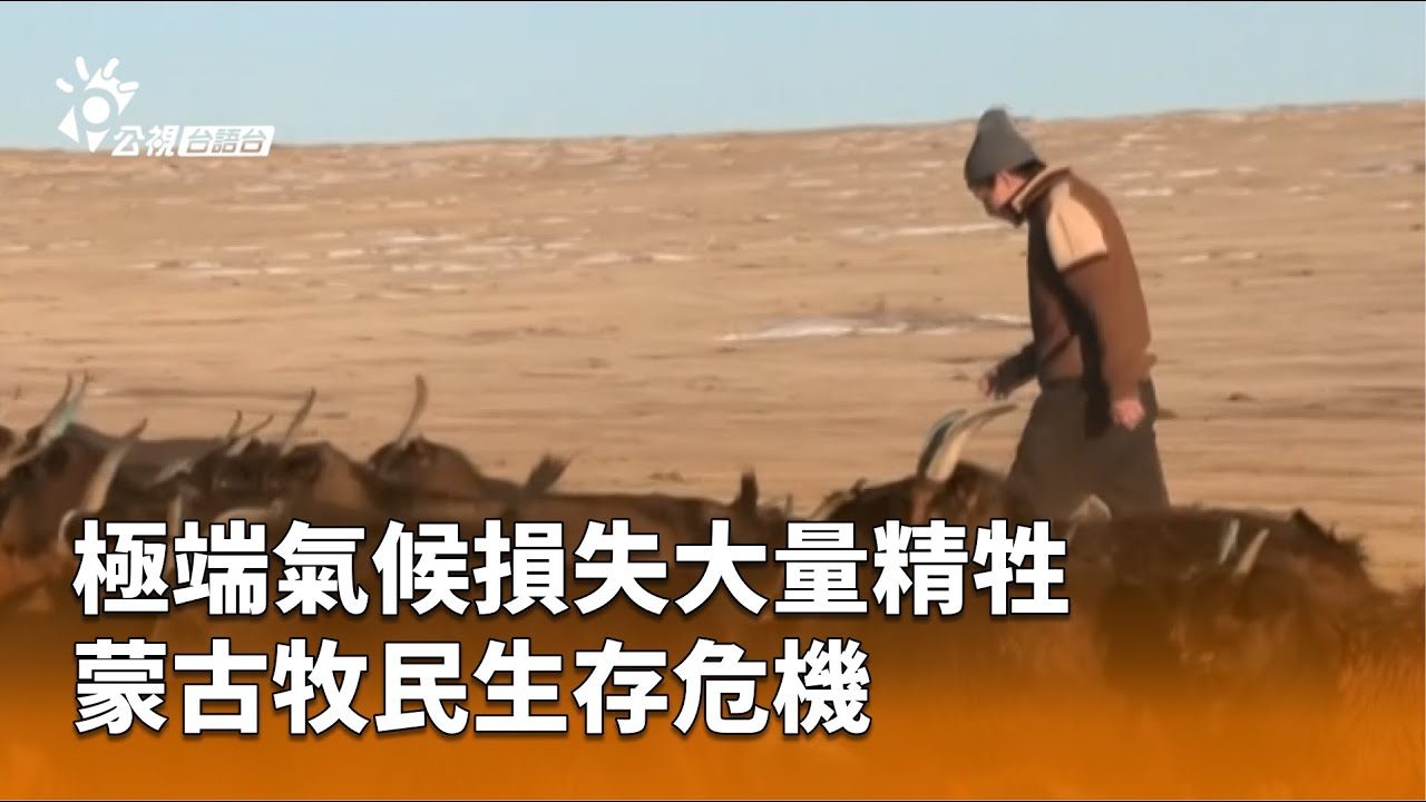 極端氣候損失大量精牲蒙古牧民生存危機| 公視台語台| 20250523 - YouTube