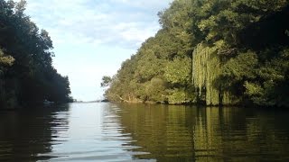 видео Река которая впадает в белое море