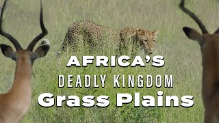 Africa’s Deadly Kingdom: Grass Plains - Trailer