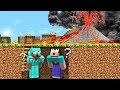 HOW to SURVIVE a NOOB and PRO FROM a VOLCANO? in Minecraft Noob vs Pro Animation