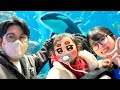 【ママ泣きそう😭】娘に初めて「シャチ」を見せることができました…大はしゃぎしてくれて嬉しい！！【なつめさんちの旅行vlog】