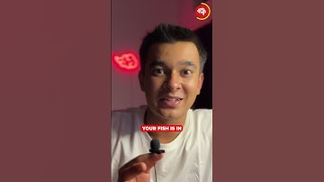 Your Fish deserves a better home. Build a Smart Fish Tank with Arduino, sensors, and motors.