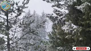 Karaoke  Versi Koplo Pompi  Beli Tusing Sultan Sultan