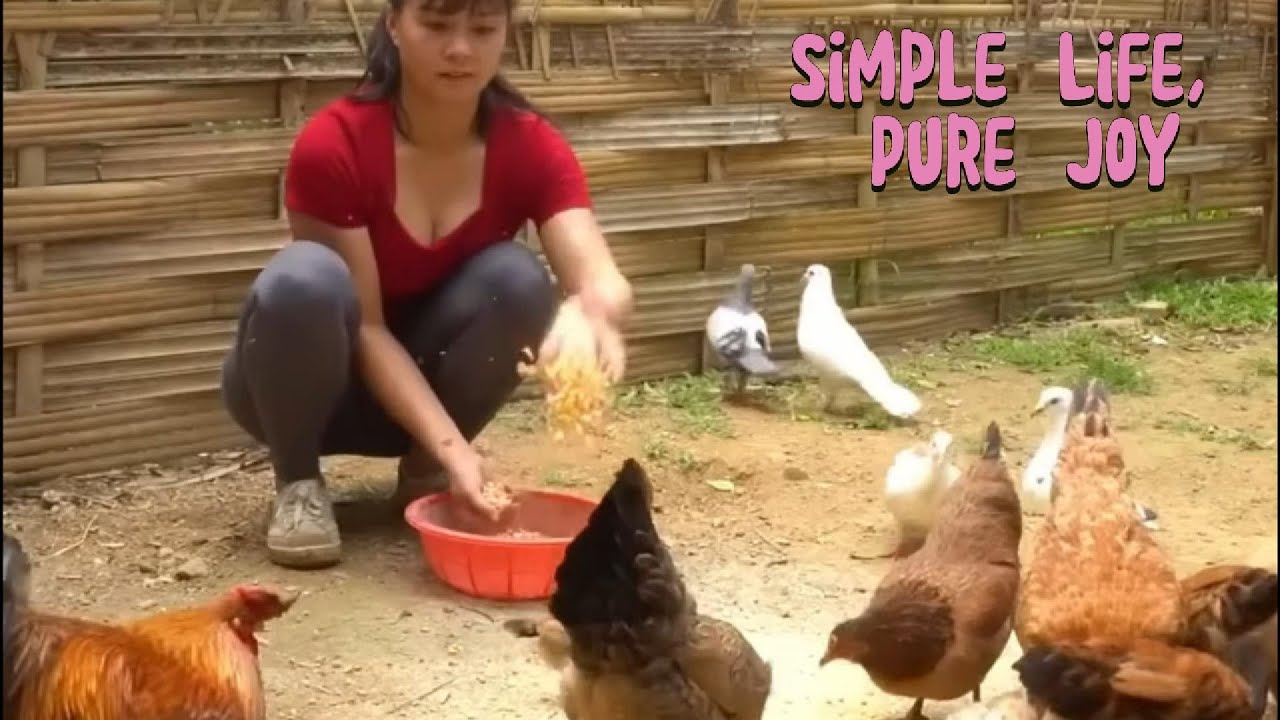 Mountain Girl Caring for Her Animals and Harvesting Cassava in the Forest | Simple and Peaceful Life