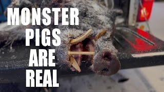 WISE COUNTY TEASER...Monsters are real!