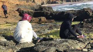 Watch the Tide pool at Half Moon Bay