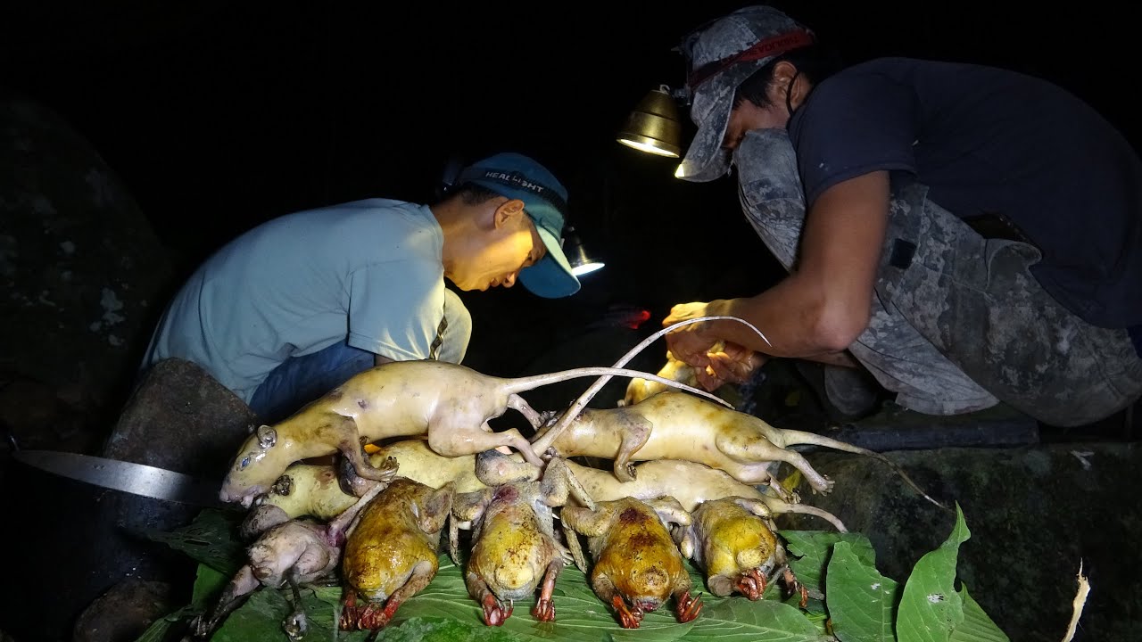 LÊN RỪNG ĂN DƯỠNG SĂN BẮT