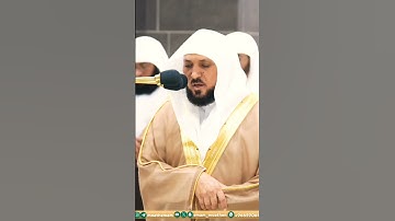 تلاوة مؤثرة جداً لفضيلة الشيخ د. ماهر المعيقلي ليلة 28 رمضان 1445ه‍ـ || يا ليتها كانت القاضية