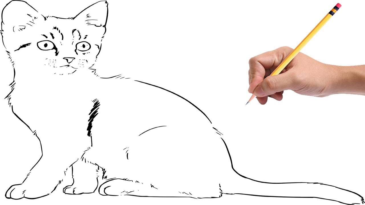 Как нарисовать кошку видео для детей 7 лет