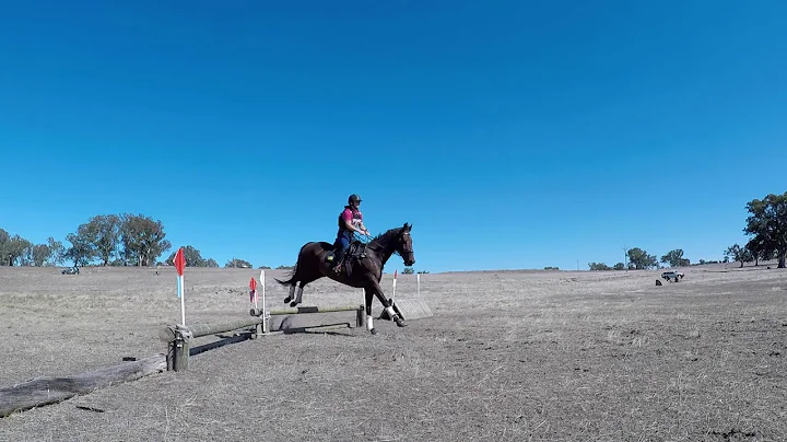 Rider 40 Stacey Wooldridge Riding JUSTAMINT Pony C...