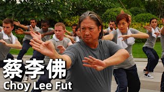 【ENG SUB】蔡李佛 (2011) | Choy Lee Fut (洪金寶，黃嘉樂，元華) | 中國拳法遭受挑戰，年輕的接班人如何應對【1080P】|#經典華語老電影