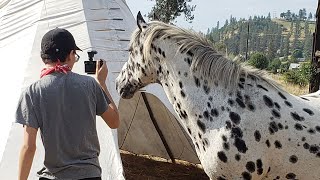 Creative Hearts & Minds of the Nez Perce (Nimiipuu) | Native American Documentary Film