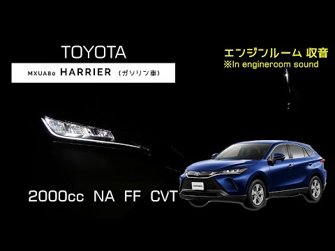 Fn2 シビック タイプｒ ユーロ フル加速 中間加速 巡行回転数 エンジン始動 Civic Typer Euro Honda Youtube