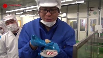 Công Việc Của Thực Tập Sinh Làm Cốp Pha Tại Nhật Bản | Việc Làm Nhật Bản