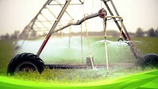 Pure Harvest Smart Farms - Is it sustainable?