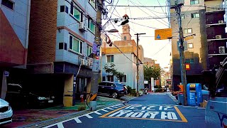 видео: Прогулка по тихой Сеульской аллее ранним утром картинка: Прогулка по тихой Сеульской аллее ранним утром