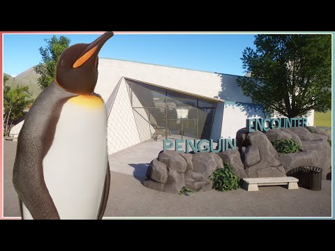 King Penguin Encounter | Planet Zoo Aquatic Pack Speed Build