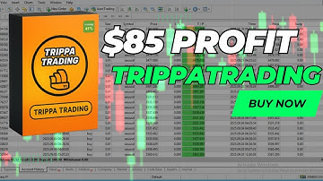 TrippaTrading AI EA Review | MT4 Forex Robot | News-Based Scalping on EURUSD, GBPUSD & XAUUSD