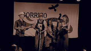 FOGHORN STRINGBAND ~ Go Home... & the Audience get into it! chords