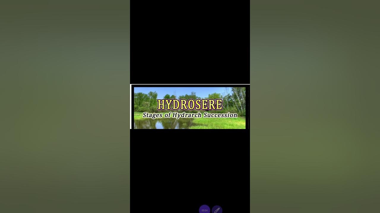 Stages of succession hydrosere stage YouTube